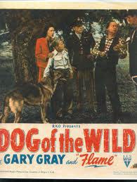 Dog of the Wild