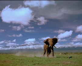 Africa's Elephant Kingdom