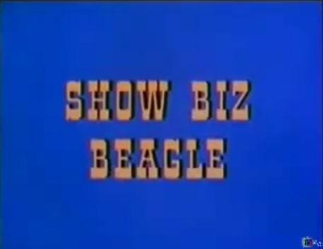 Show Biz Beagle