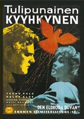 Tulipunainen kyyhkynen