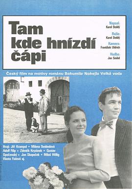 Tam, kde hnizdi cápi
