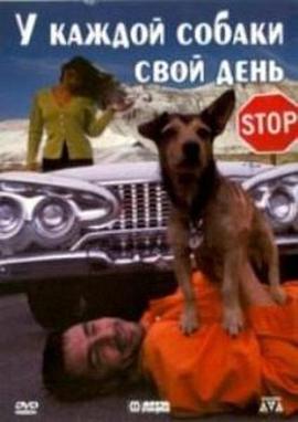 Every Dog Has Its Day