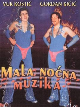 Mala nocna muzika