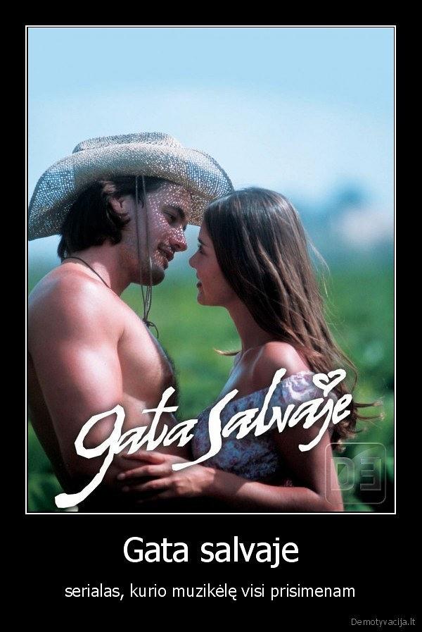 Gata salvaje