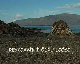 Reykjavík í öðru ljósi