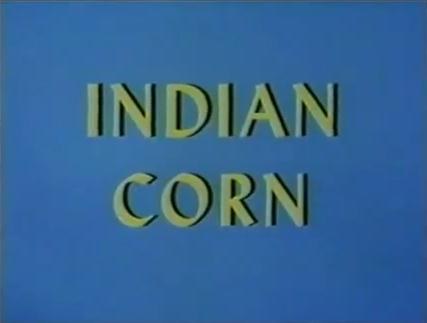 Indian Corn