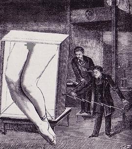 La femme 100 têtes