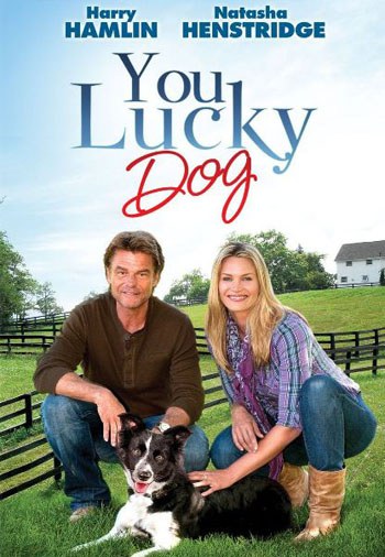 You Lucky Dog