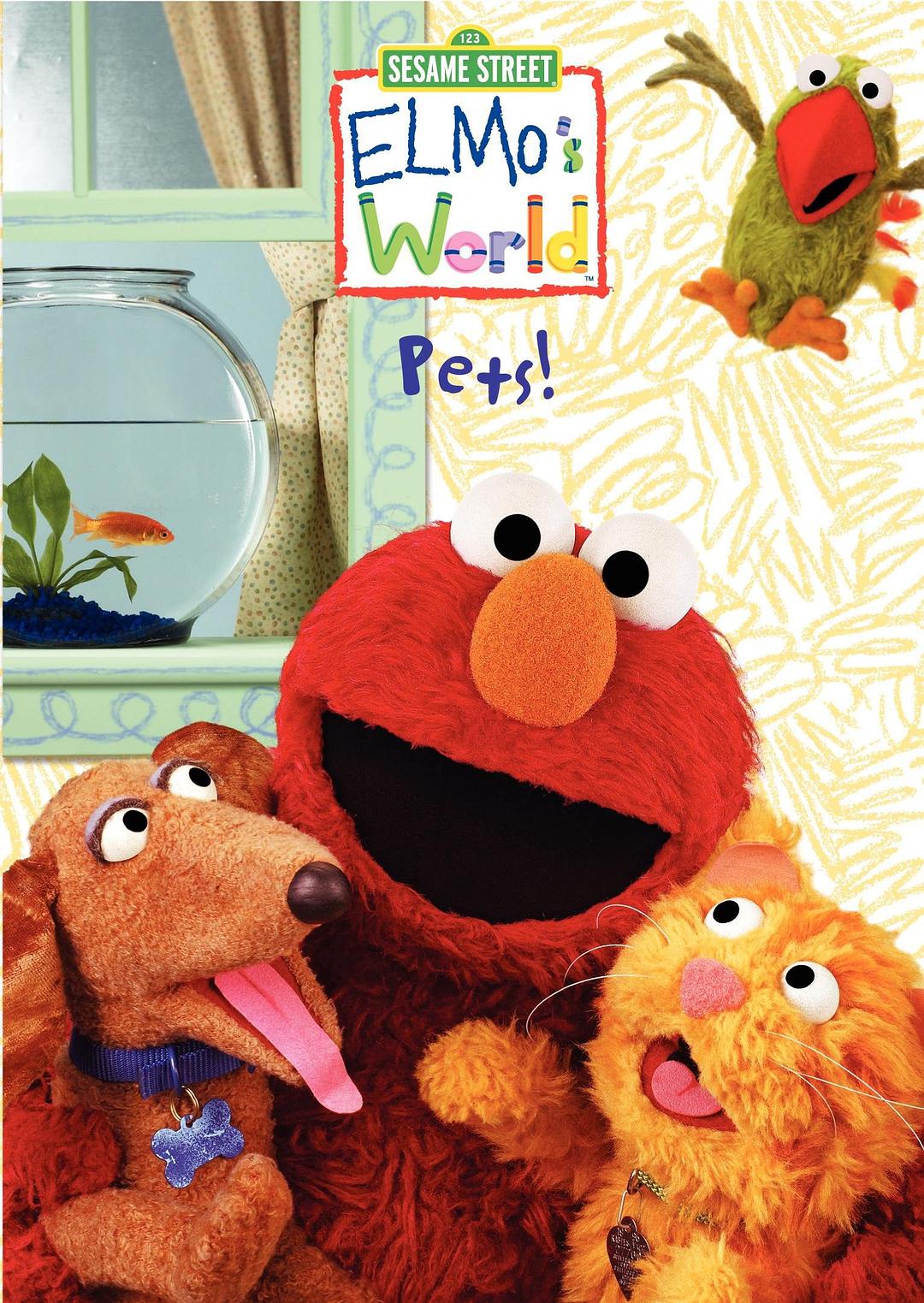 毛毛的世界：开心宠物手册