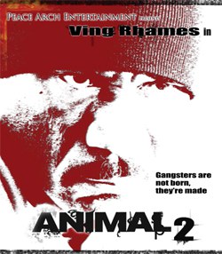 Animal 2