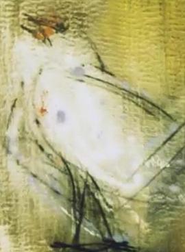 Trois portraits d'un oiseau qui n'existe pas