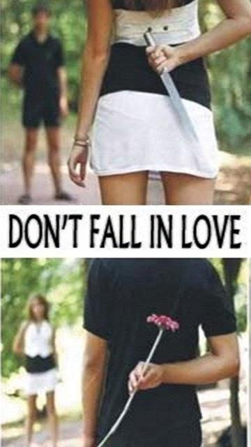 Playboy: No Boys Allowed, 100% Girls 3