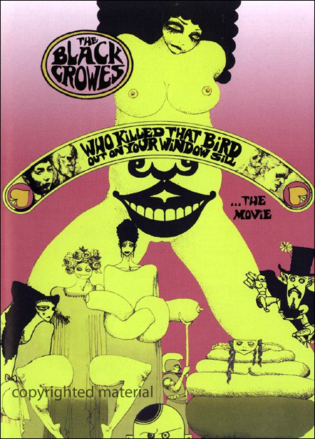 The Black Crowes: Who Killed That Bird Out on Your Window Sill... The Movie