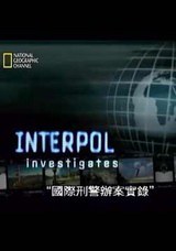 國際刑警辦案實錄
