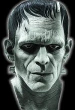 Frankenstein: Birth of a Monster