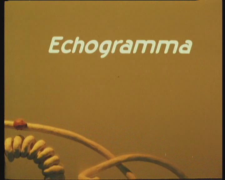 Echogramma
