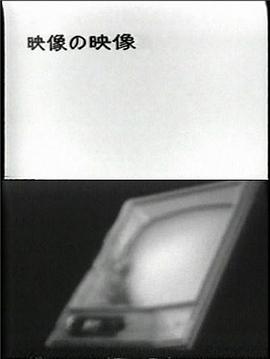 映像の映像－見ること