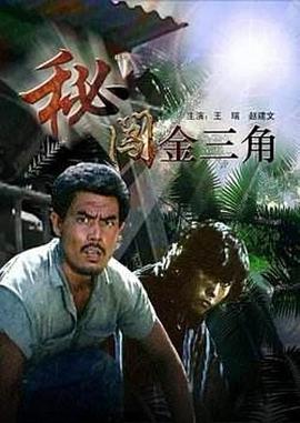 秘闯金三角
