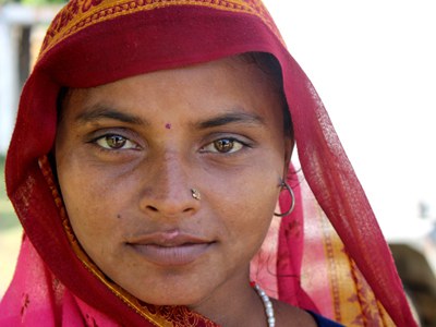 Pink Saris