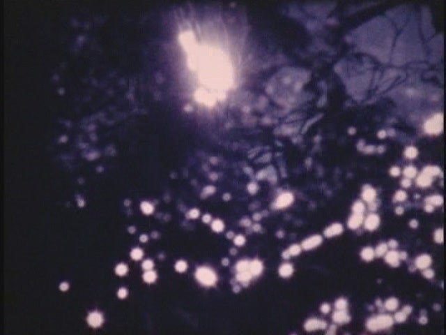 洸洸
