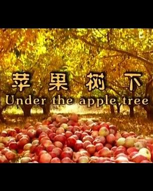 苹果树下