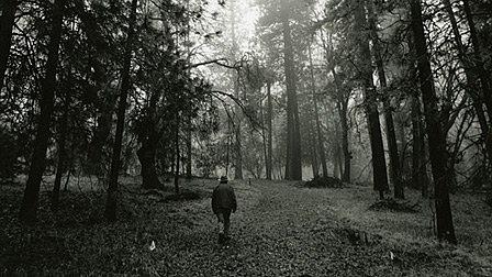 IN SEARCH OF THE WORLD