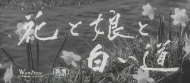 花、女儿、白道