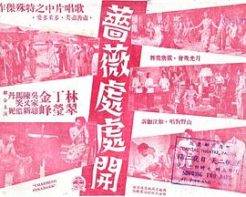 蔷薇处处开