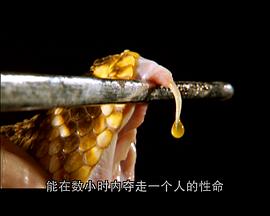 世界致命动物系列：北美篇