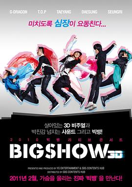 2010 빅뱅 라이브 콘서트 빅쇼 3D