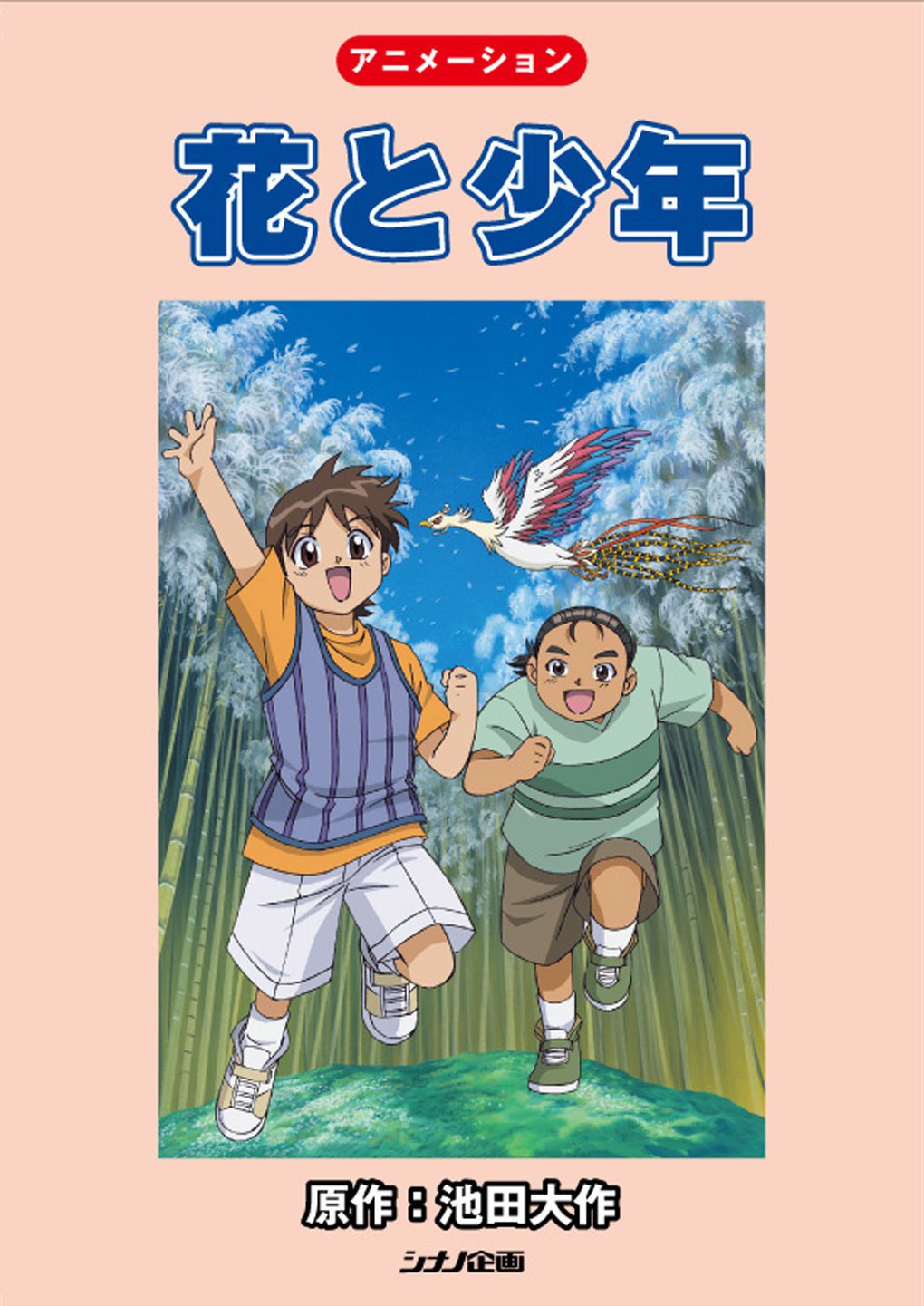 花与少年