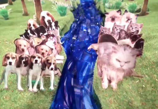 Animal Beatbox