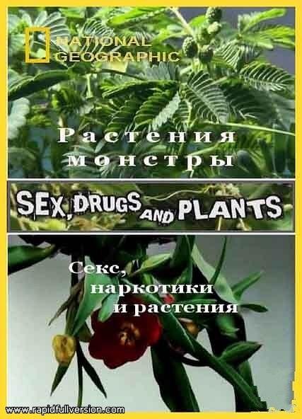 国家地理 植物的奥妙世界