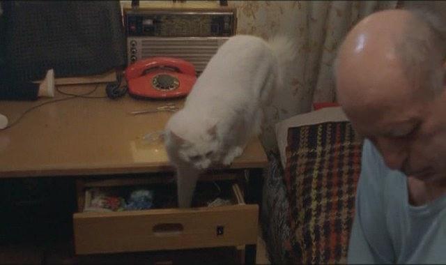 黑暗之中