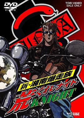 新・湘南爆走族 荒野骑士