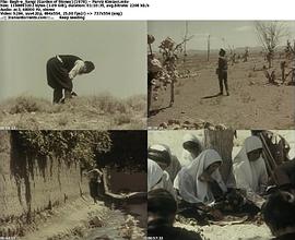 Piremard va bagh-e sangi'ash
