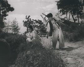 土豆