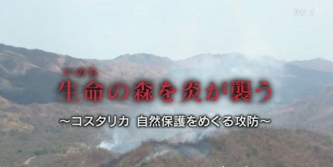 哥斯达黎加自然保护的攻防战