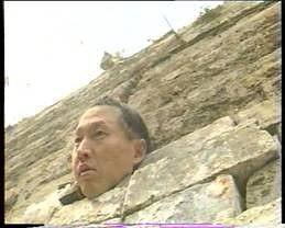 夜莺不是唯一的歌喉