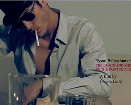 The Black And White Maze Of The Painted Zebra