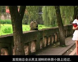 四年一梦