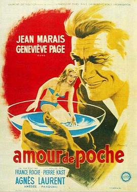 Un amour de poche