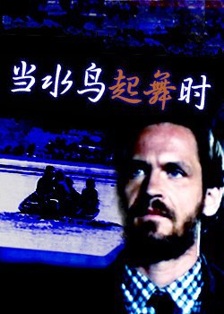 当水鸟起舞时