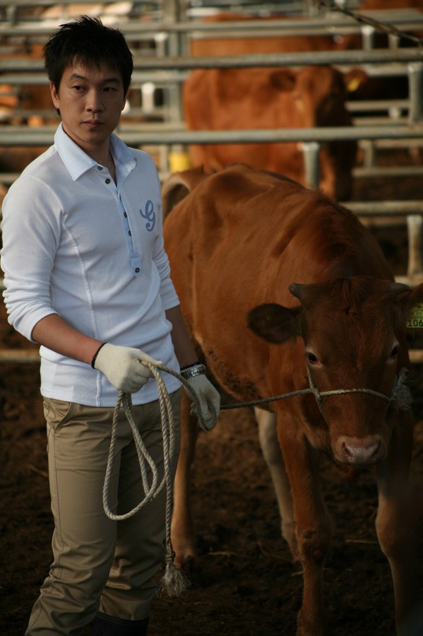 케 세라, 세라