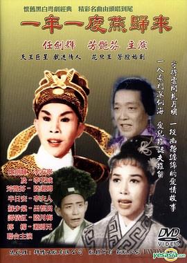 一年一度燕归来